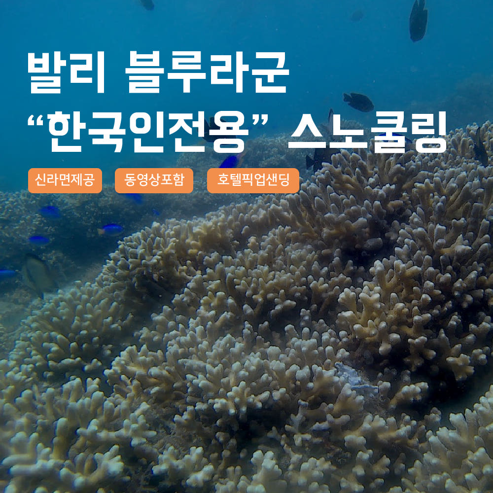 발리 블루라군 스노클링·고프로 촬영 투어 판매자 제공 상품 이미지