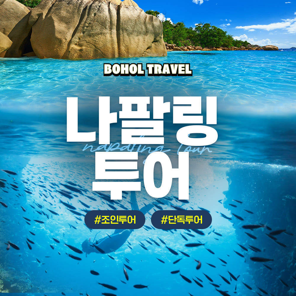 보홀 나팔링 정어리떼 투어